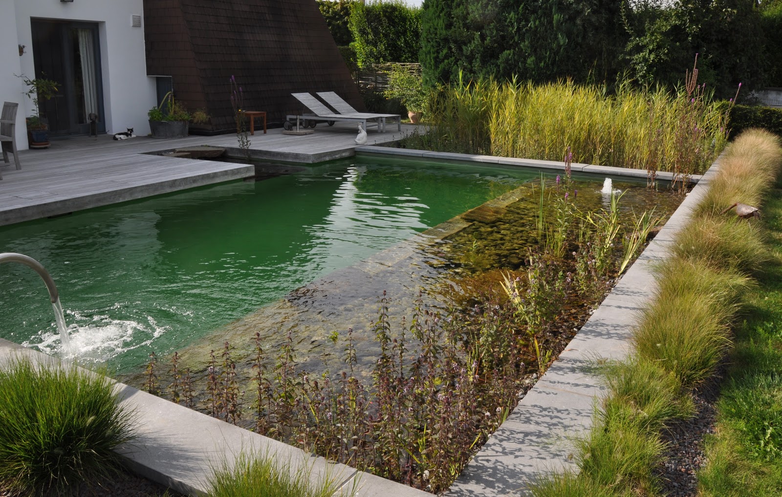 Balnéaris, Baignades Naturelles Bioteich: 6 ans plus tard